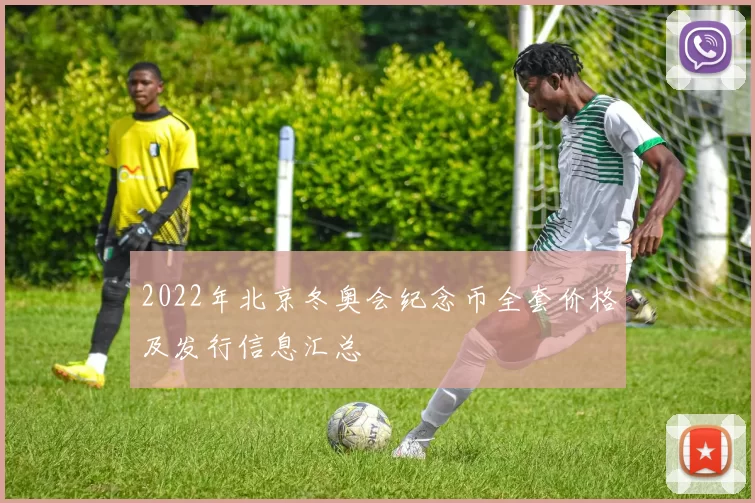 2022年北京冬奥会纪念币全套价格及发行信息汇总