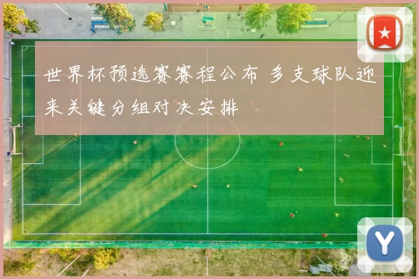 世界杯预选赛赛程公布 多支球队迎来关键分组对决安排
