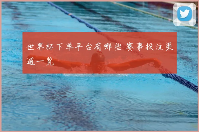 世界杯下单平台有哪些 赛事投注渠道一览