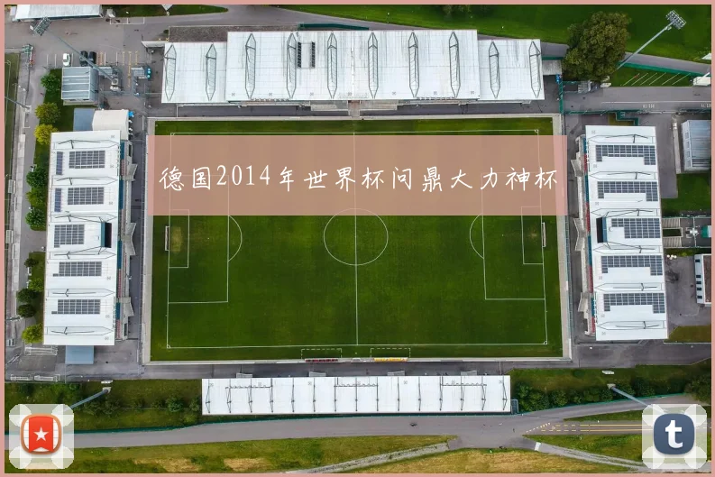 德国2014年世界杯问鼎大力神杯