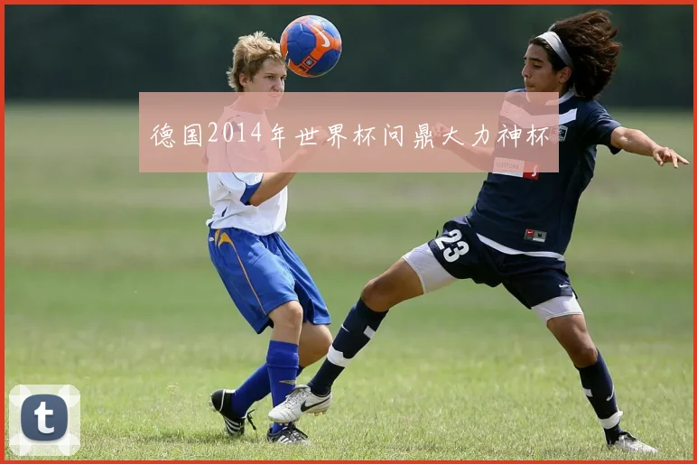 德国2014年世界杯问鼎大力神杯